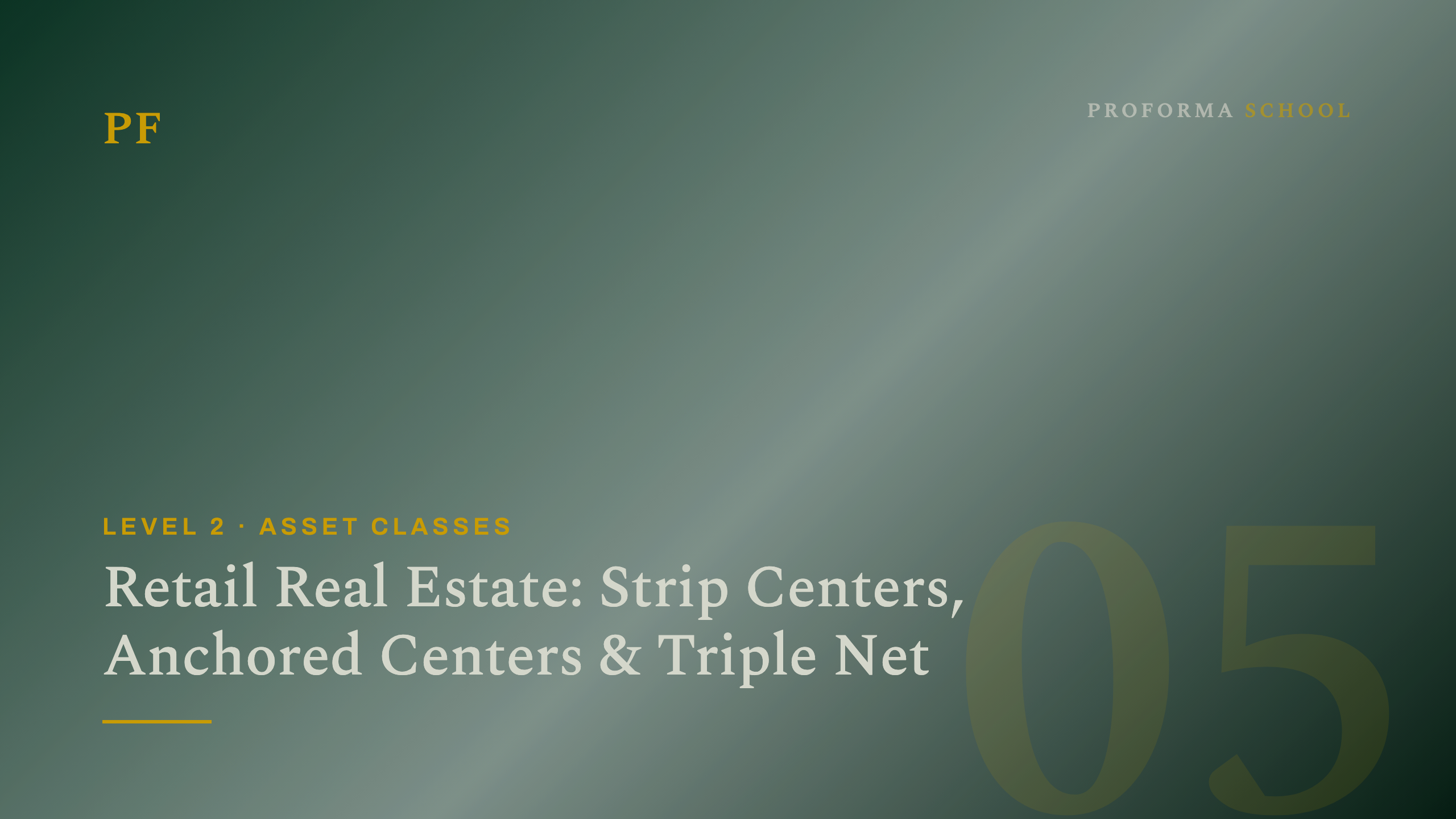 Retail Real Estate: Strip Centers, Anchored Centers & Triple Net
